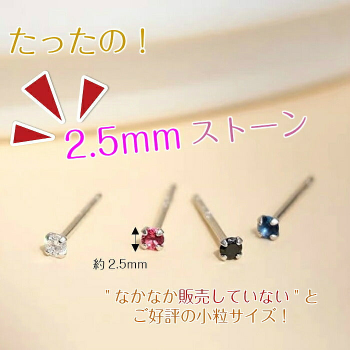 ミニピアス　Silver925