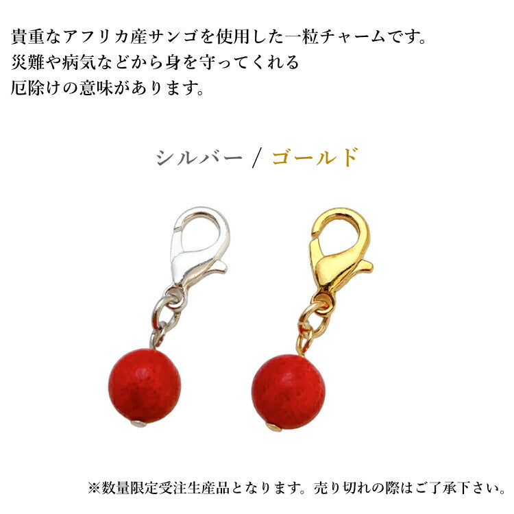 【幸せの紅珊瑚チャーム】 コーラルチャーム 赤珊瑚 マスクチャーム レッドコーラル チャーム アフリカサンゴ シルバー ゴールド アクセサリー キーホルダー 一粒