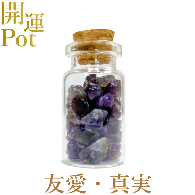 【アメジスト】 星屑ミニポット 【高貴 誠実 心の平和 愛情】 天然石 パワーストーン 開運 アイテム 浄化 厄除け お守り 飾り インテリア さざれ石 小瓶 送料無料 ポスト投函