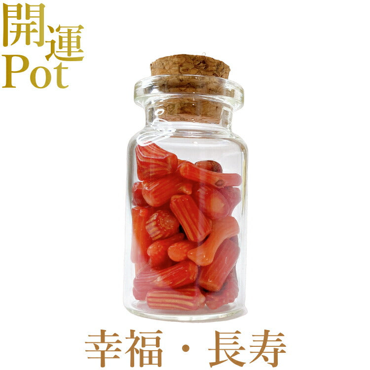【紅珊瑚】 星屑ミニポット 【幸福 長寿】 天然石 パワーストーン 開運 アイテム 浄化 厄除け お守り 飾り インテリア さざれ石 小瓶 送料無料 ポスト投函